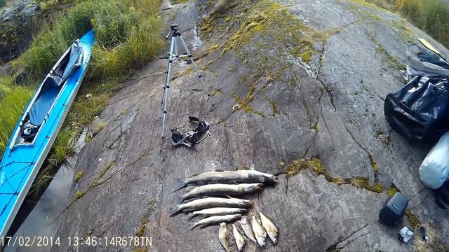 рыбалка в Кочерге смотреть онлайн