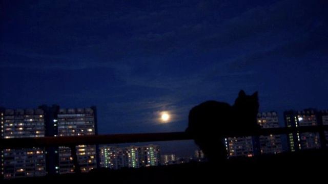 ДУША БРОДЯЩАЯ ПО УЛИЦАМ / 37 МИНУТ WITCH HOUSE // THE SOUL WALKING STREETS / 37 MINUTES WITCH HOUSE смотреть онлайн