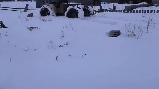 Болотоход 4х4 смотреть онлайн