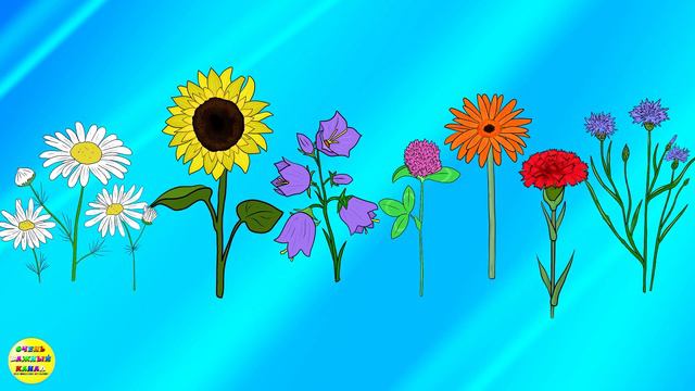 Учим цветы. Развивающий мультфильм для детей. смотреть онлайн