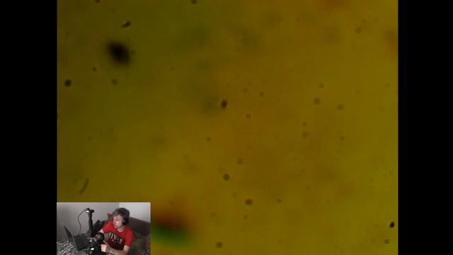 Микромир с Джоном!! Надеюсь часть 1 =)) смотреть онлайн