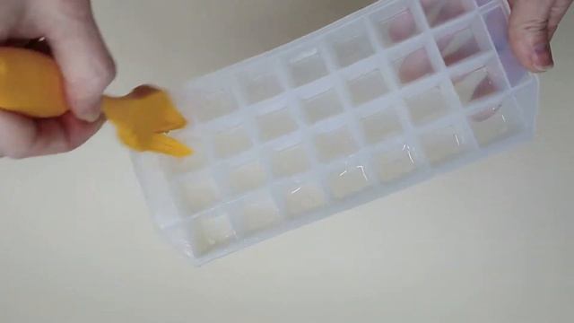 Приключения на Природе