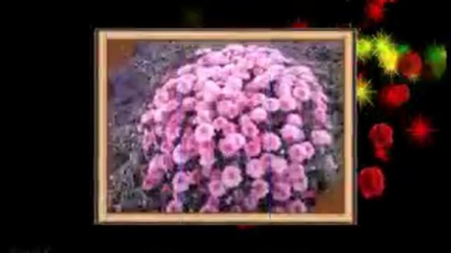 Где оно счастье (convert-video-online.com) (1).mp4