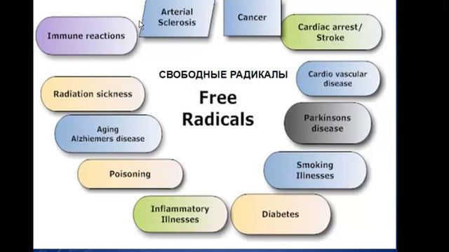 Неужели Мангостин - Фрукт Будущего? В.Шакка_17_12_12.mp4 смотреть онлайн