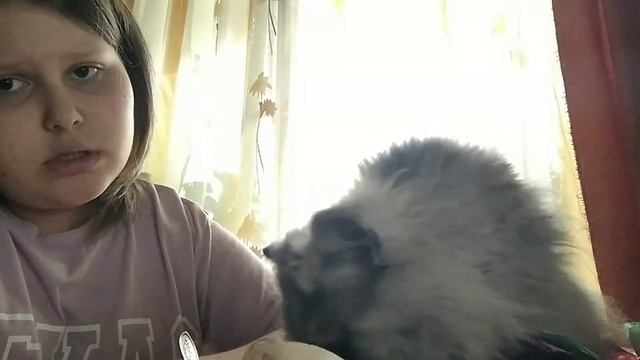Vlog: который снимался 2 месяца👍😝💜 смотреть онлайн