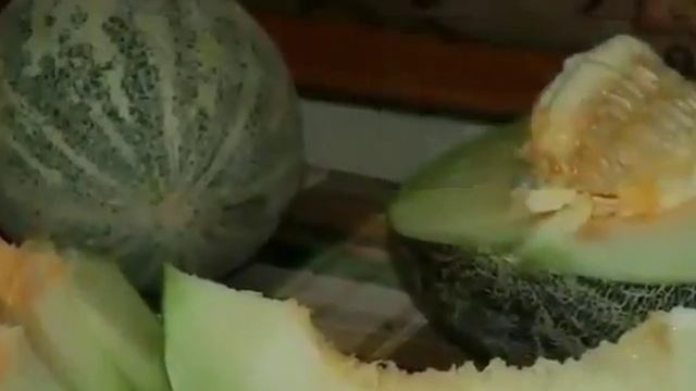 Вот Узбекистан