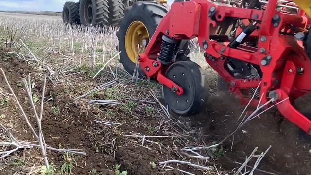 11.04.20 Прямой посев подсолнечника смотреть онлайн