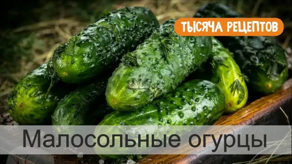 ТЫСЯЧА РЕЦЕПТОВ