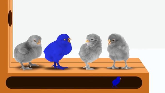Учим английский (цвета и животные) смотреть онлайн