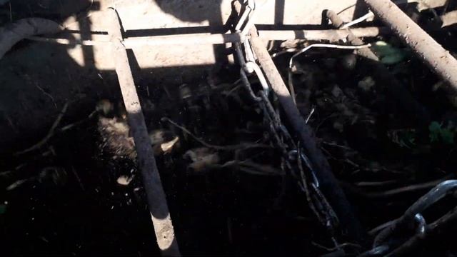 уборка картофеля картофелеуборочным комбайном Анна Z644 2020 смотреть онлайн