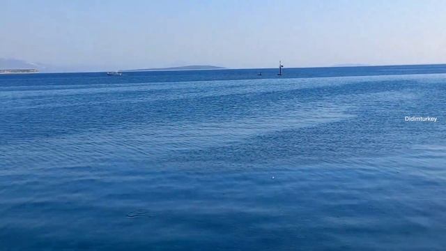 ПЛЯЖ АЛТЫНКУМ (ЗОЛОТОЙ ПЕСОК) В Г.ДИДИМ ЭГЕЙСКОЕ МОРЕ ТУРЦИЯ /Недвижимость в Турции /Дидим Турция смотреть онлайн
