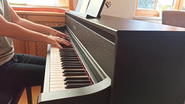 German Anthem | Piano Version смотреть онлайн
