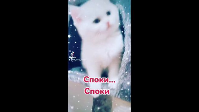 182. KATZEN KATZCHEN KITTEN CATS КОШКИ КОТЯТА смотреть онлайн