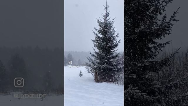 #хлопьялетятнаверх #shorts смотреть онлайн