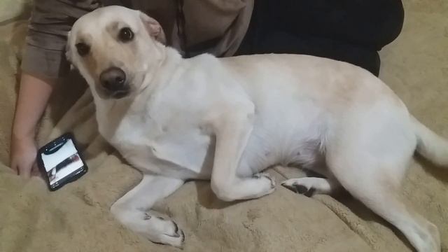 Очень не любим купаться в ванной смотреть онлайн