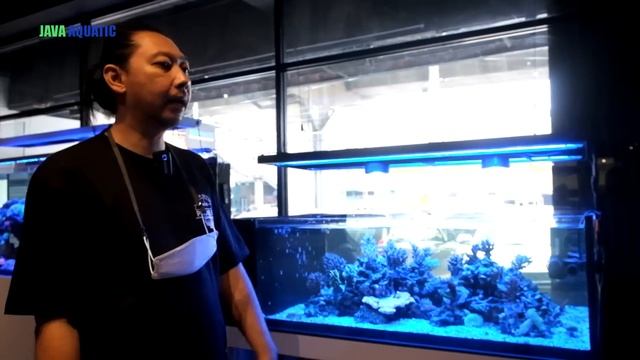 PONTO SEDIH TANK SPS JAVA CRASH - UPDATE TANK SPS DI GALERI JAVA AQUATIC смотреть онлайн