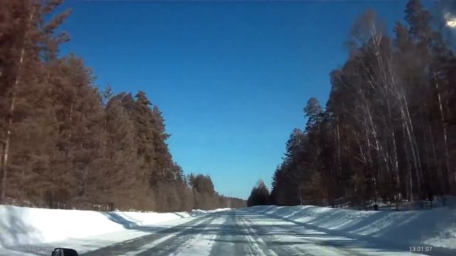 Дорога в Сузун проходит через красивейший бор смотреть онлайн