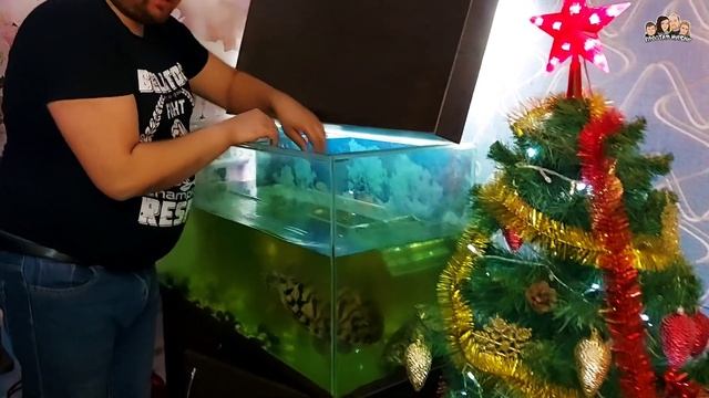 Как избавиться от зелёной воды в аквариуме//Лучший фильтр для красноухих черепах//Содержание черепа смотреть онлайн