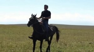 Мчится конь подо мной исп. Леонид Очиргоряев