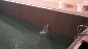 Как правильно сделать гидроизоляцию в бетонном бассейне. Строительство бетонного бассейна