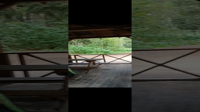 #серебряныебобры отдыхают