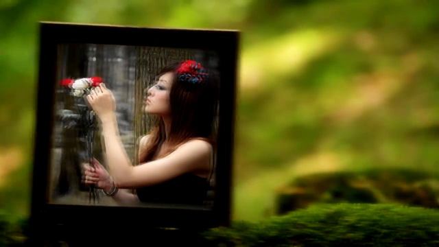 After Effects слайдшоу в лесу смотреть онлайн