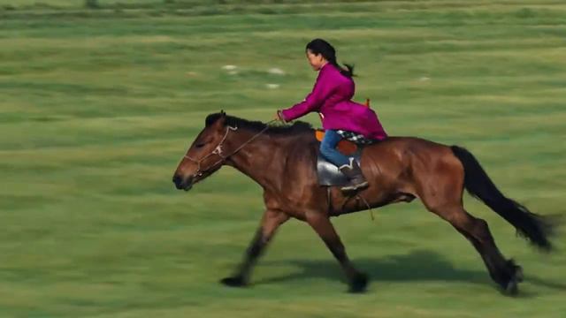 Фильм «HUMAN», Ян Артус-Бертранд. Часть 01 смотреть онлайн