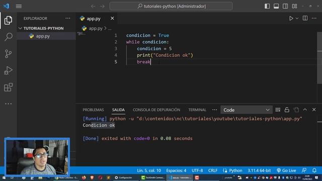 COMO HACER UN BUCLE DO WHILE EN PYTHON смотреть онлайн