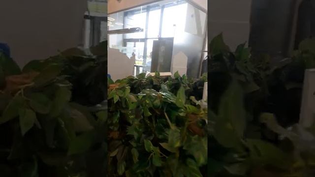 Диагностика здоровья в Мой Центр Амвей смотреть онлайн