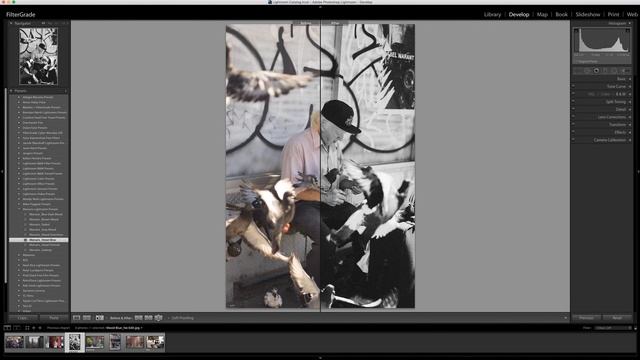 Monaris Lightroom Presets Video Walkthrough смотреть онлайн