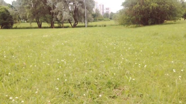 ❓ЧТО ДЕЛАТЬ, когда скучно? | Лето 2016 | Часть 1