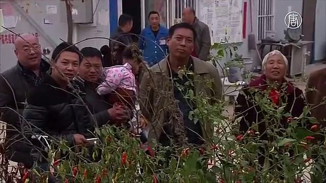 Как мистер Жгучий перец из Китая съедает килограммы перца чили смотреть онлайн