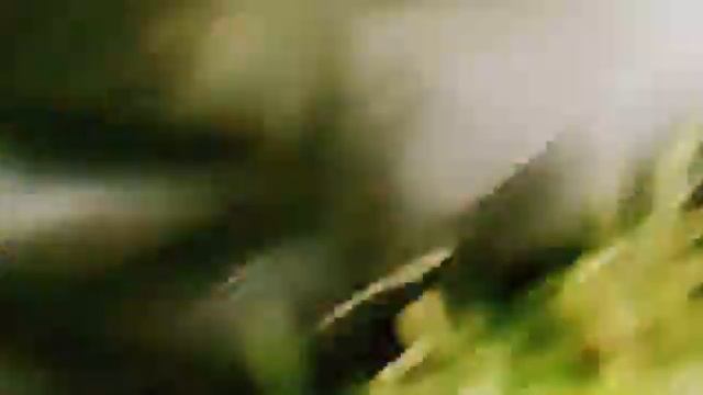 Field puddles flooding & mudding in my new Roks-plast PVC hip-waders.. смотреть онлайн