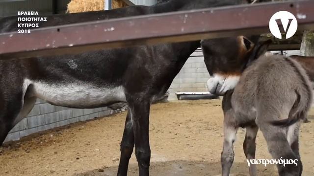 ΒΡΑΒΕΙΟ ΚΑΙΝΟΤΟΜΙΑ Προϊόντα Golden Donkey Farm смотреть онлайн