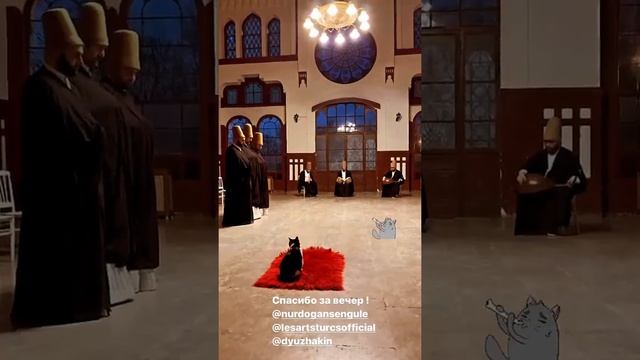 Whirling Dervish Ceremony in Sirkeci and Istanbul Cat.Dervish Music Show.Sufi Ceremony.Istanbullive смотреть онлайн
