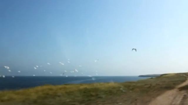Крым, Северо-западное побережье, Черноморский район. Межводное, Водопойное смотреть онлайн