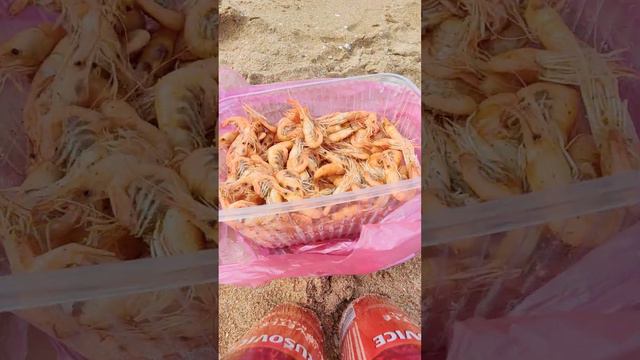 Кучугуры Азовское море смотреть онлайн