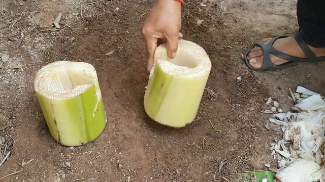 Creative Idea How To Propagate Java plum And Guava Tree With Aloe Vera In Banana Tree To Success смотреть онлайн