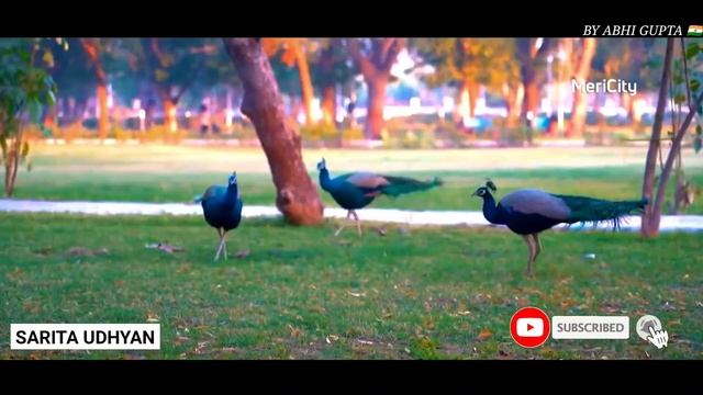 GANDHINAGAR | THE CAPITAL CITY OF GUJARAT | GANDHINAGAR TOURIST PLACES | GANDHINAGAR CITY FACTS |