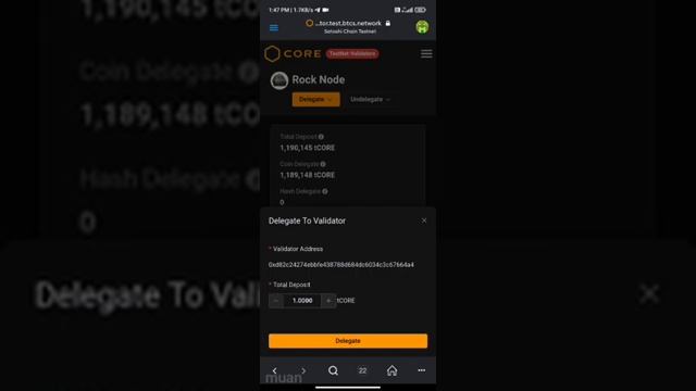 How To Delegate In Validator Nodes | In Mizo | # BTCs #Core смотреть онлайн