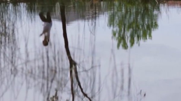 Портал / Gateway (фантастика, 2018 г.) HD