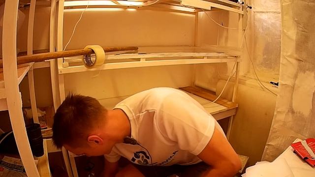 Горшки под РАССАДУ и где купить земли зимой смотреть онлайн