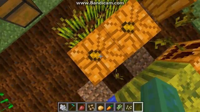 Урок 1 - сельское хозяйство. (Читайте описание!!)