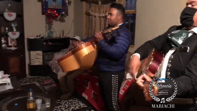 Mariachi Herencia De Villa - El Sauce Y La Palma смотреть онлайн
