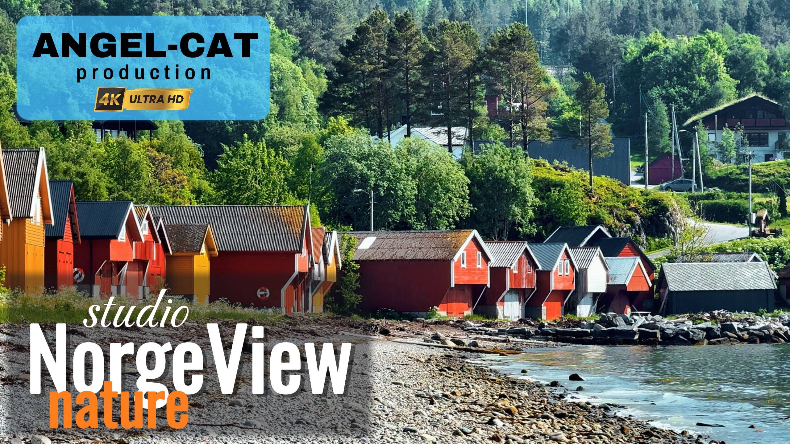 Norwegian Nature And Fjords