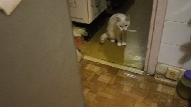 Это было вечером смотреть онлайн