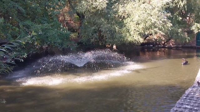 Крым. Ялта. Зоопарк "Сказка" Сентябрь 2023 смотреть онлайн