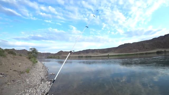 В ЭТИХ КРАСИВЫХ МЕСТАХ РЫБЫ СЛИШКОМ МНОГО! РЫБАЛКА В ОДИНОЧКУ. смотреть онлайн