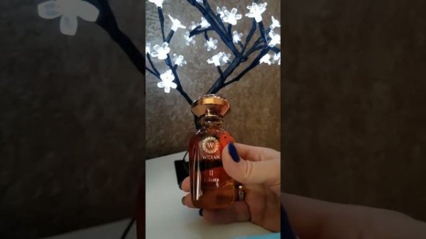 WIDIAN II SAHARA обзор