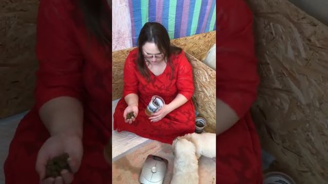 Как понять сколько корма дать щенку за одно кормление? смотреть онлайн